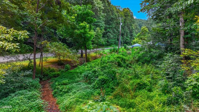 10 Maple Hill Way, Gatlinburg, TN 37738