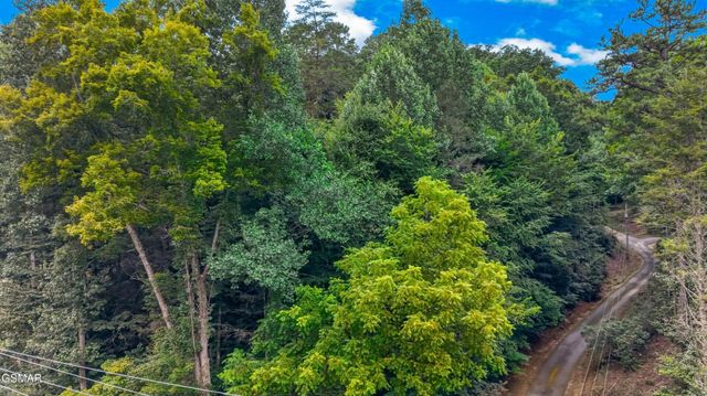 10 Maple Hill Way, Gatlinburg, TN 37738