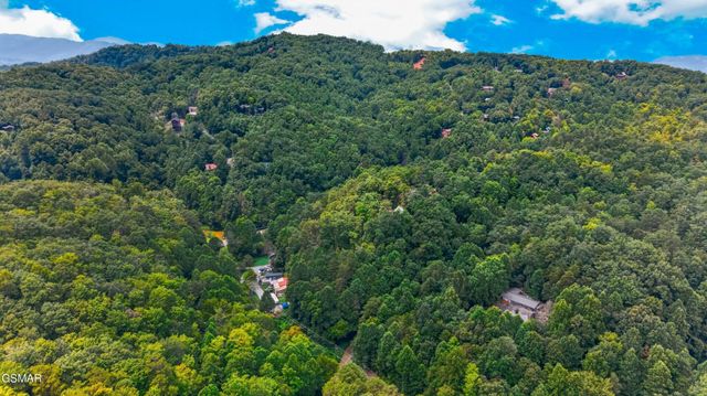 10 Maple Hill Way, Gatlinburg, TN 37738