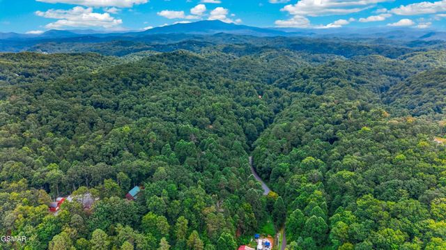 10 Maple Hill Way, Gatlinburg, TN 37738