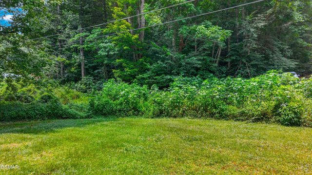 10 Maple Hill Way, Gatlinburg, TN 37738