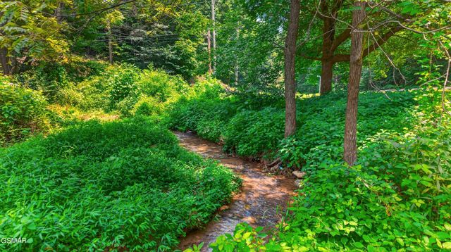 10 Maple Hill Way, Gatlinburg, TN 37738