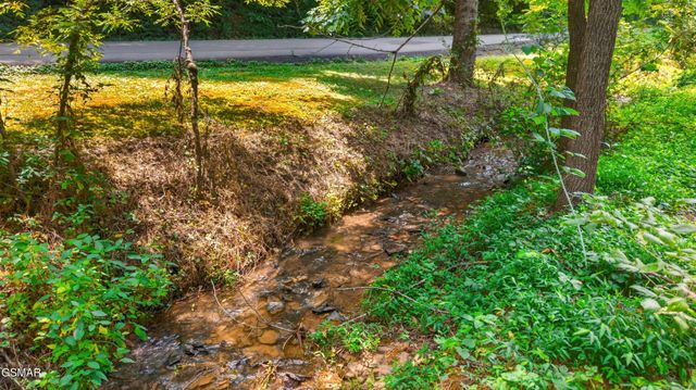 10 Maple Hill Way, Gatlinburg, TN 37738