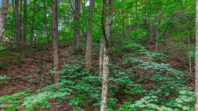 10 Maple Hill Way, Gatlinburg, TN 37738