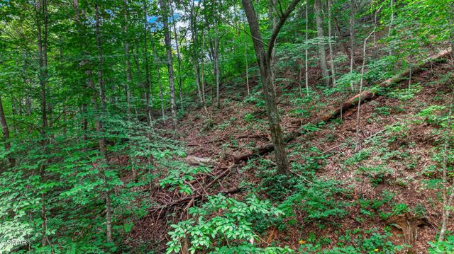 10 Maple Hill Way, Gatlinburg, TN 37738