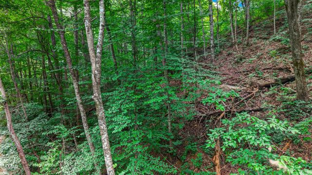 10 Maple Hill Way, Gatlinburg, TN 37738