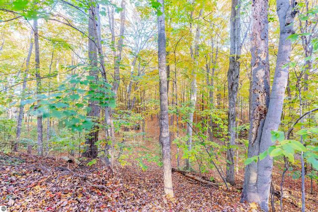 4020 Gaddi Drive, Traverse City, MI 49684