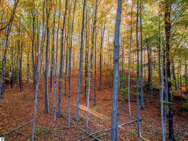 4020 Gaddi Drive, Traverse City, MI 49684