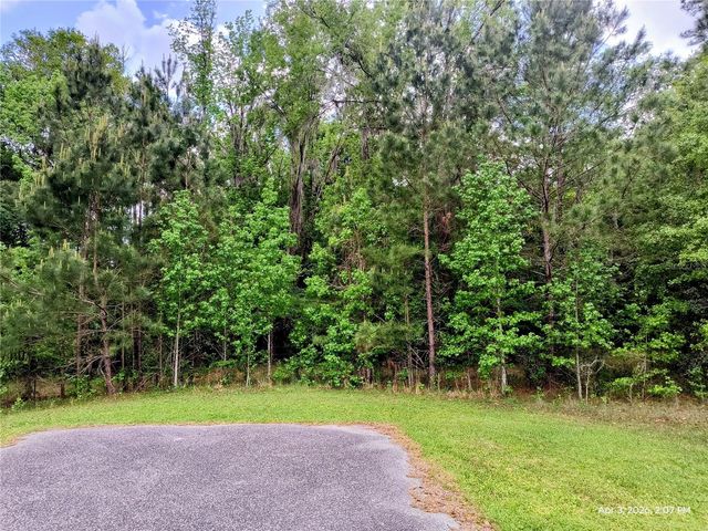 14095 NW 141ST AVENUE, Williston, FL 32696