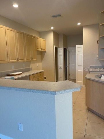 11528 CAPTIVA KAY DRIVE, Riverview, FL 33569