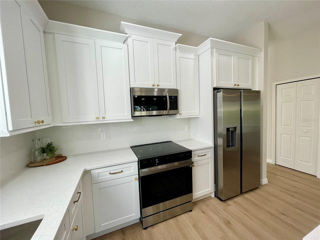 24345 AMBERLEAF COURT, Leesburg, FL 34748