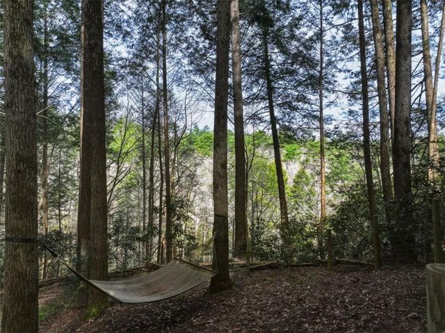 58 River Road, Ellijay, GA 30522