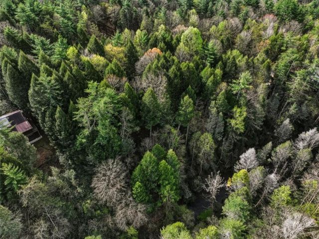 58 River Road, Ellijay, GA 30522