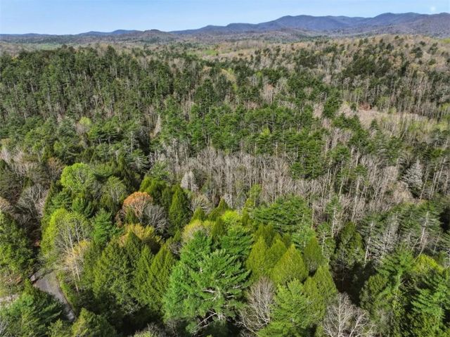 58 River Road, Ellijay, GA 30522