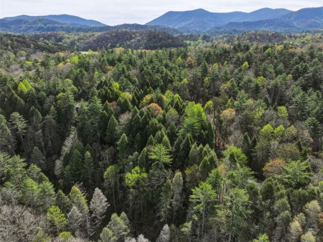 58 River Road, Ellijay, GA 30522