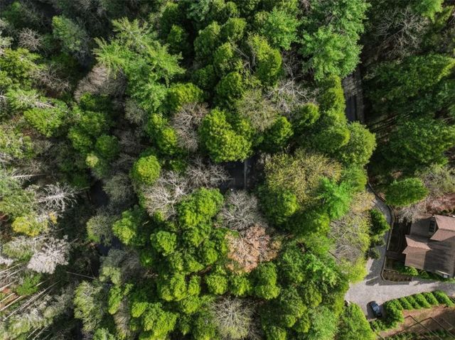 58 River Road, Ellijay, GA 30522