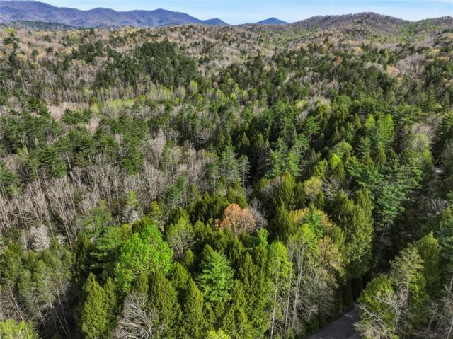 58 River Road, Ellijay, GA 30522