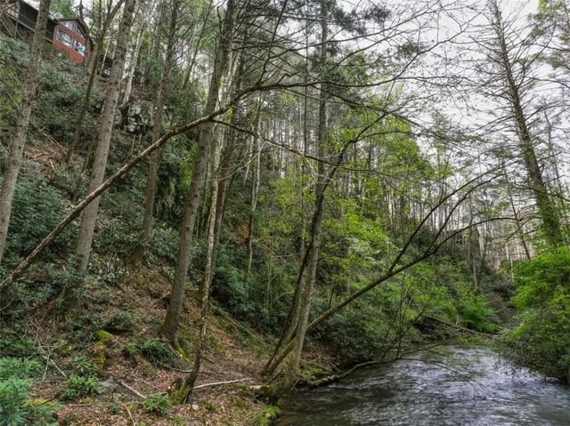 58 River Road, Ellijay, GA 30522
