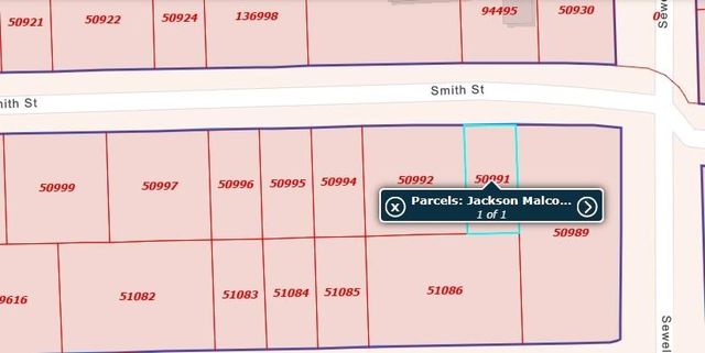 000 Smith Street, Coldspring, TX 77331