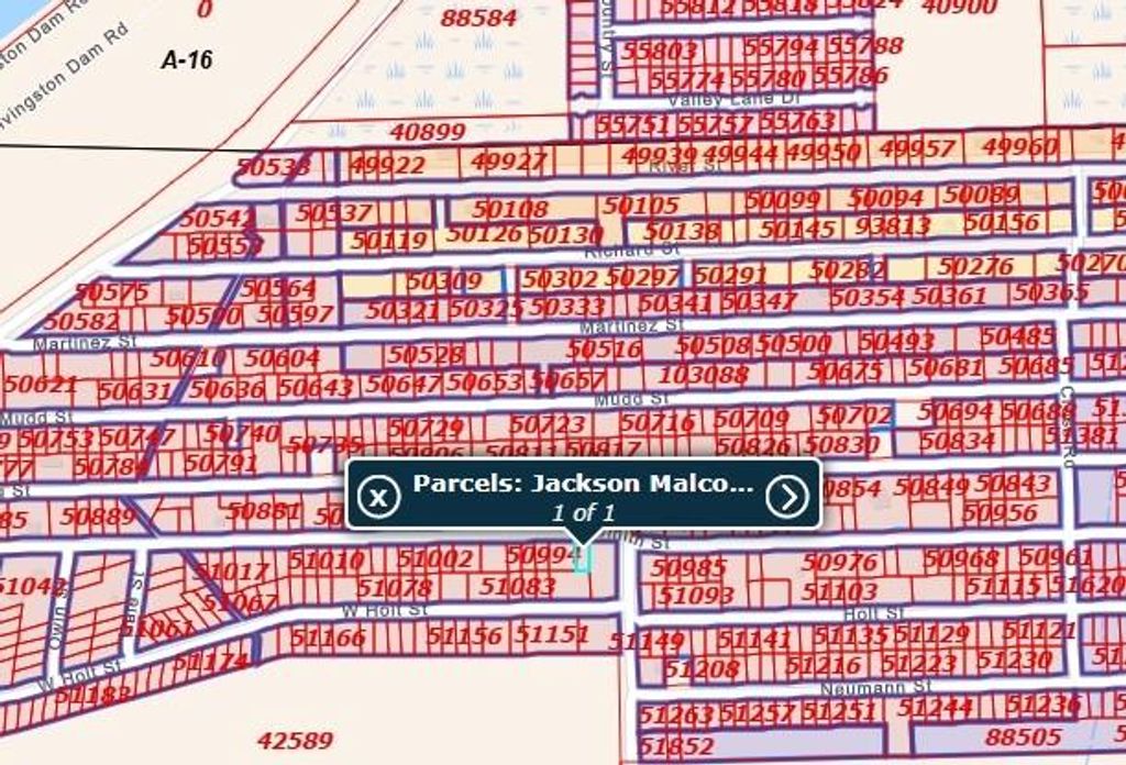 000 Smith Street, Coldspring, TX 77331