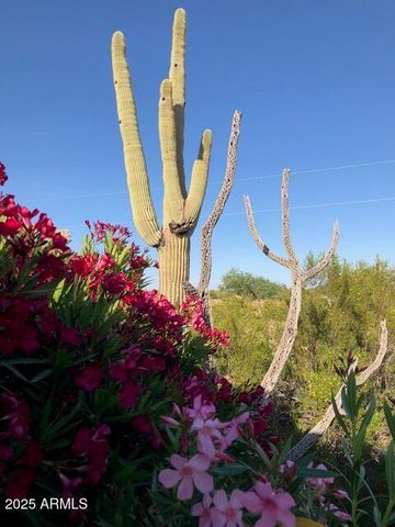 8362 N DEAD MANS GULCH Road, Florence, AZ 85132