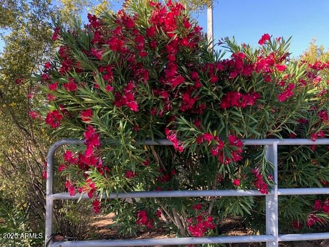 8362 N DEAD MANS GULCH Road, Florence, AZ 85132