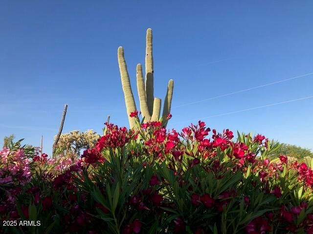 8362 N DEAD MANS GULCH Road, Florence, AZ 85132