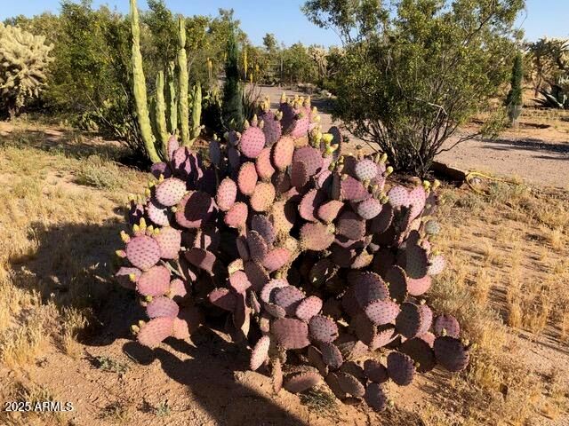 8362 N DEAD MANS GULCH Road, Florence, AZ 85132