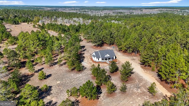 115 Watermelon Lane, Mauk, GA 31058