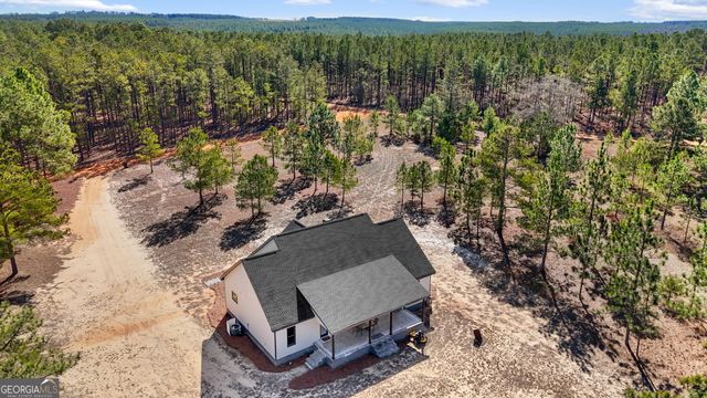 115 Watermelon Lane, Mauk, GA 31058