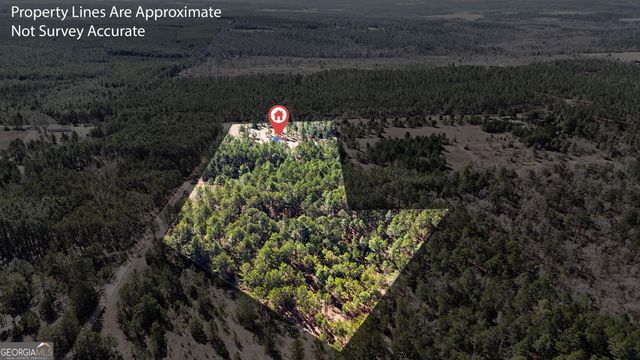 115 Watermelon Lane, Mauk, GA 31058