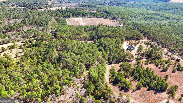 115 Watermelon Lane, Mauk, GA 31058