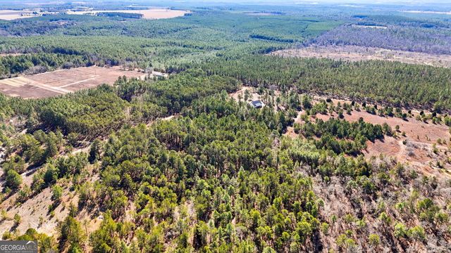 115 Watermelon Lane, Mauk, GA 31058