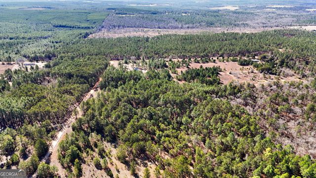 115 Watermelon Lane, Mauk, GA 31058