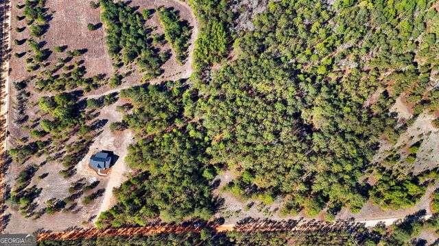 115 Watermelon Lane, Mauk, GA 31058