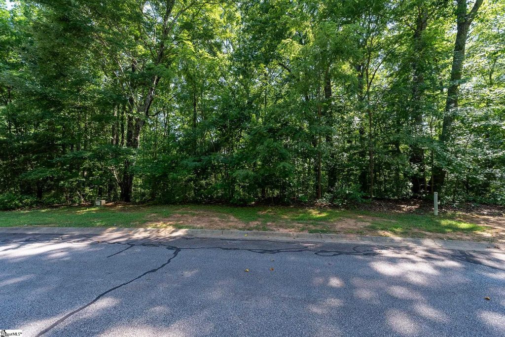 317 Laurel Valley Way, Travelers Rest, SC 29690