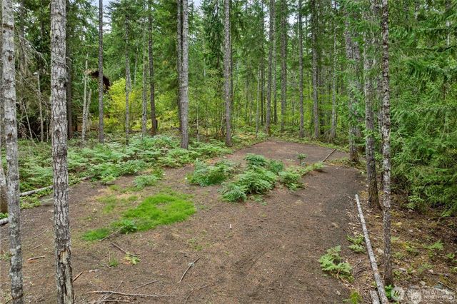 1341 N Potlatch Drive, Hoodsport, WA 98548