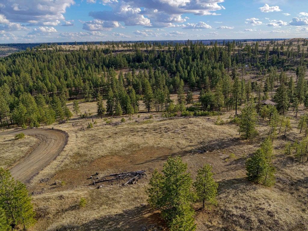 31008 Meadow Ln, Davenport, WA 99122 photo 14