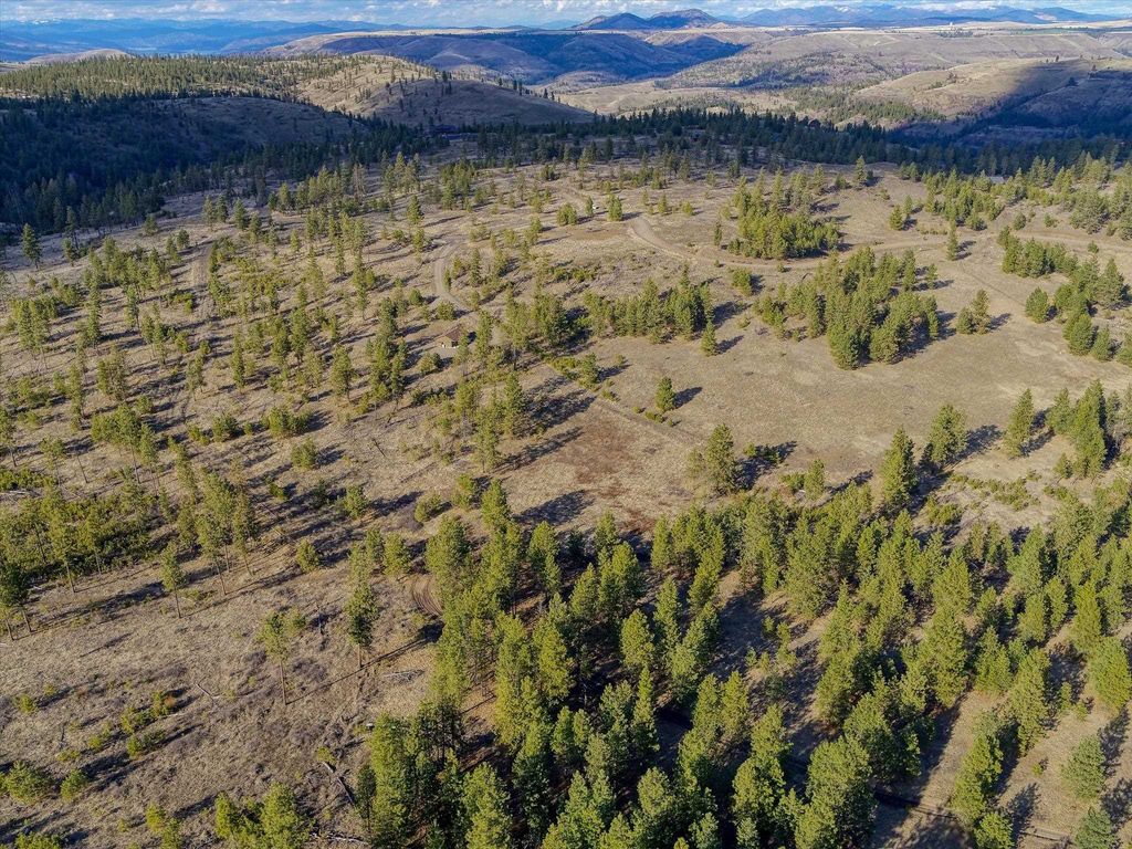 31008 Meadow Ln, Davenport, WA 99122 photo 15