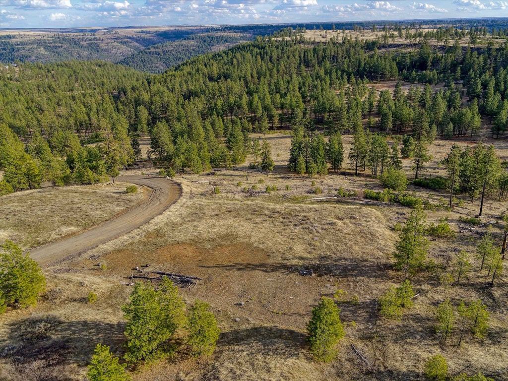 31008 Meadow Ln, Davenport, WA 99122 photo 16