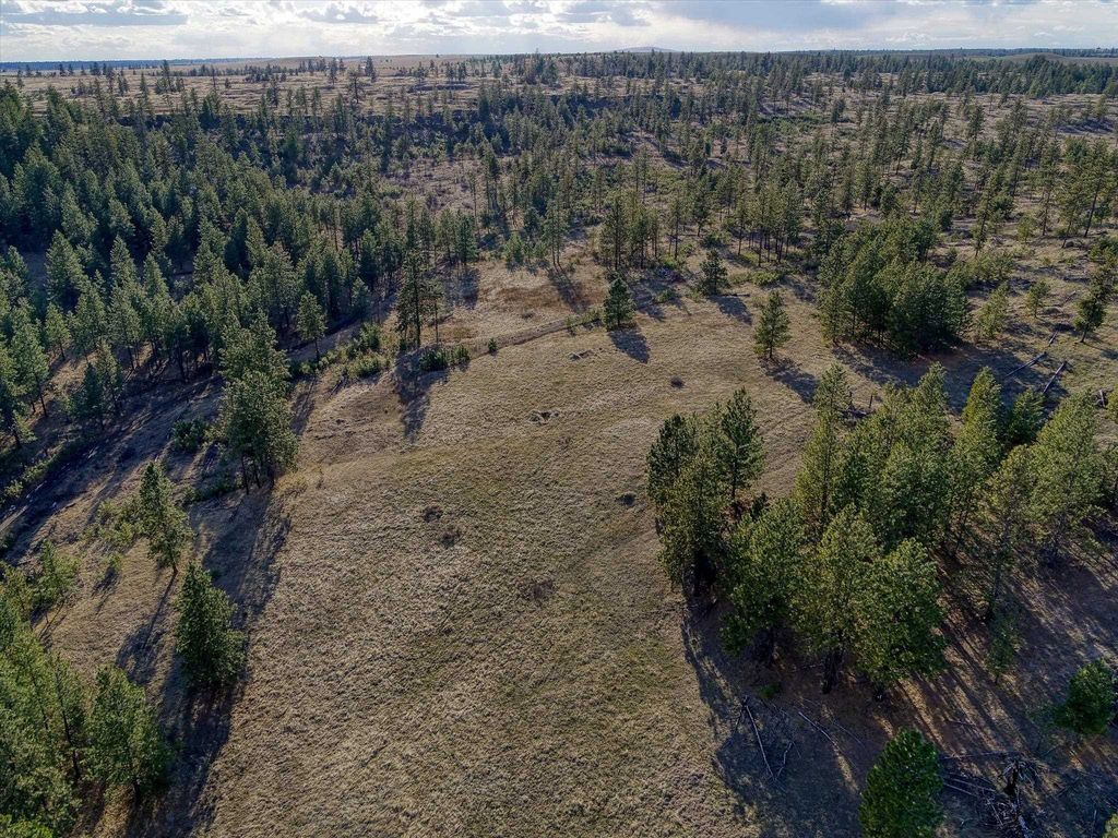 31008 Meadow Ln, Davenport, WA 99122 photo 25