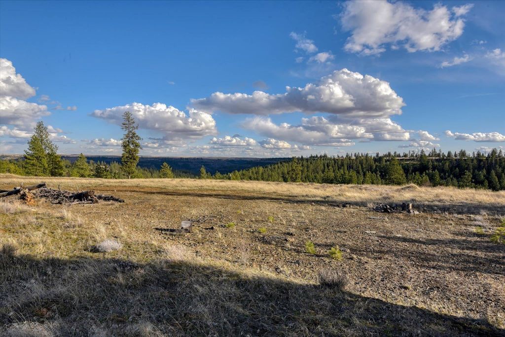 31008 Meadow Ln, Davenport, WA 99122 photo 34
