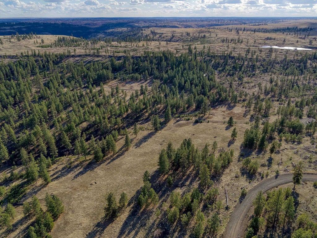 31008 Meadow Ln, Davenport, WA 99122 photo 8