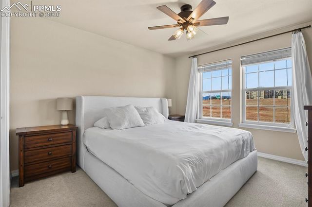 8842 White Prairie View, Colorado Springs, CO 80924