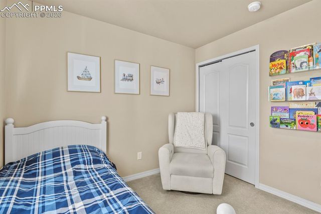 8842 White Prairie View, Colorado Springs, CO 80924