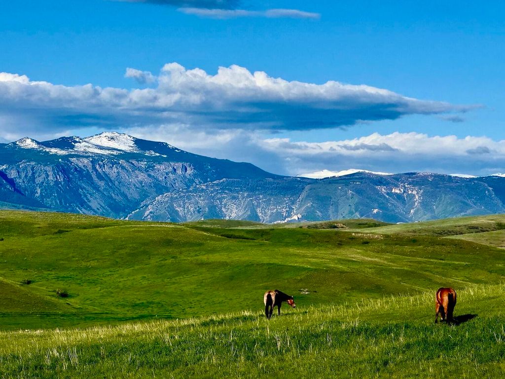 743 E US HWY 14, Sheridan, WY 82801 photo 38