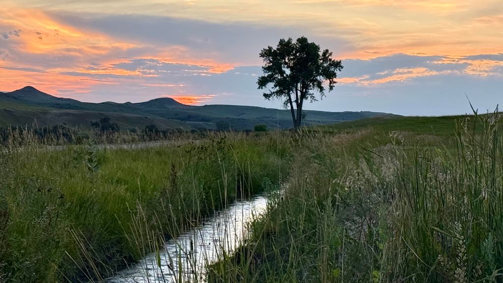 743 E US HWY 14, Sheridan, WY 82801 photo 41