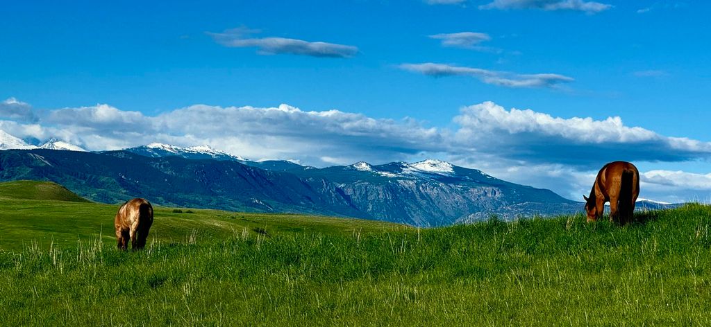 743 E US HWY 14, Sheridan, WY 82801 photo 44