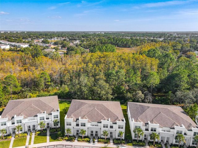 17230 BLESSING DRIVE, Clermont, FL 34714