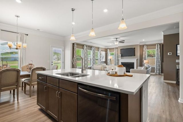 323 Silver Leaf Trace, Douglasville, GA 30134